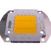 Power Led 100w Branca Fria