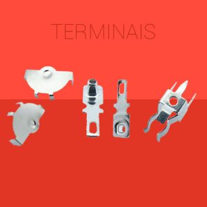 Terminais